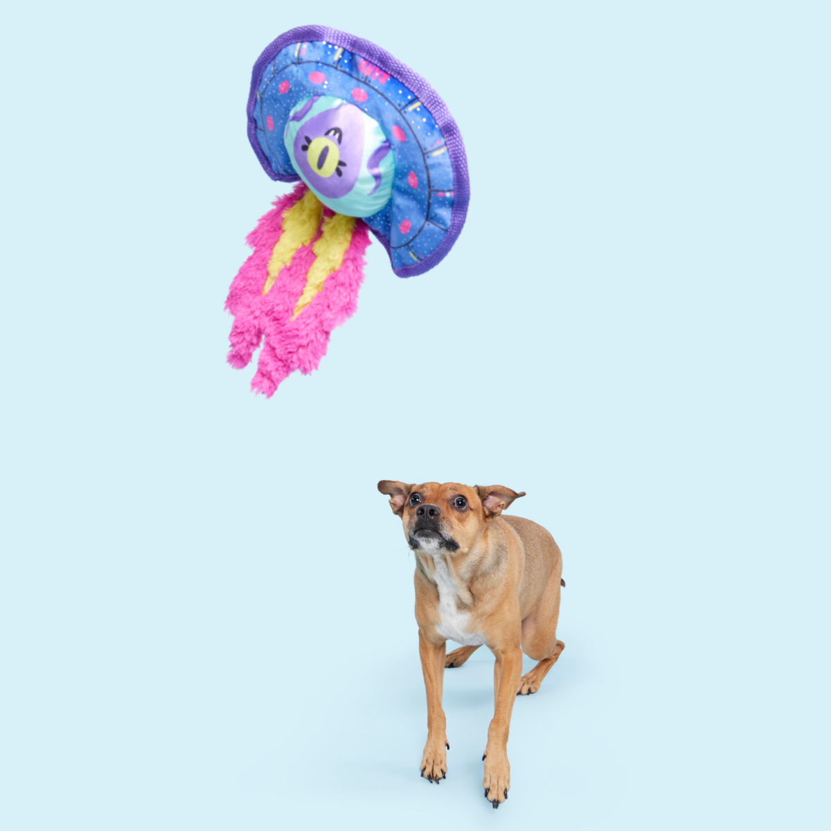 Blast Arf! Plush Tug Dog Toy - Image 4