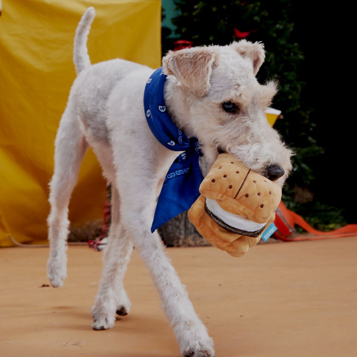 More S'mores Plush Tug Dog Toy - Image 2