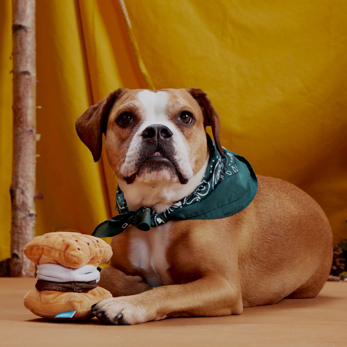 More S'mores Plush Tug Dog Toy - Image 3