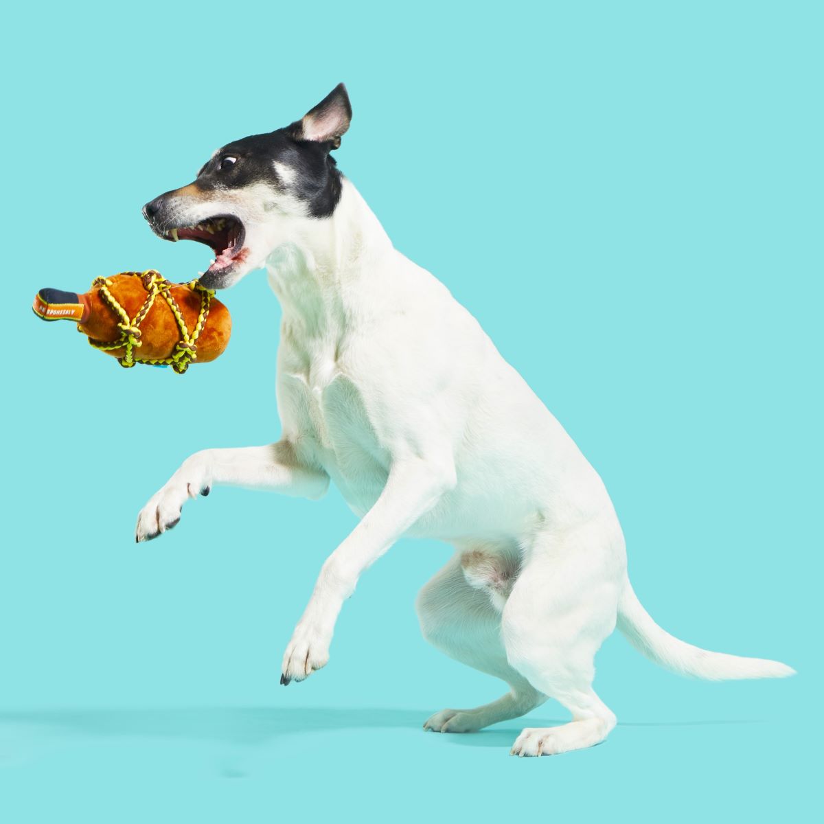 Barkbeard's Rum Plush Tug Dog Toy - Image 3