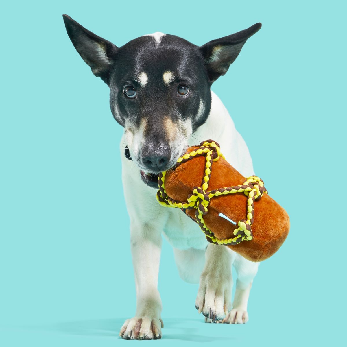 Barkbeard's Rum Plush Tug Dog Toy - Image 4