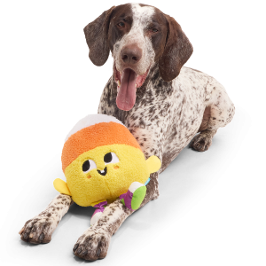 Randy Corn Plush Extra-Large + Tug Dog Toy