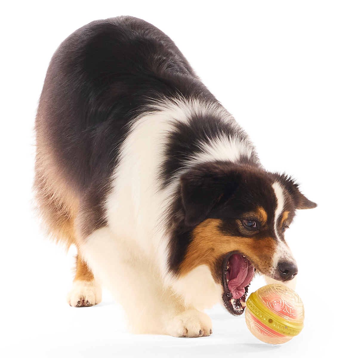 Remembrall™ Super Chewer Durable Fetch Dog Toy - Image 3