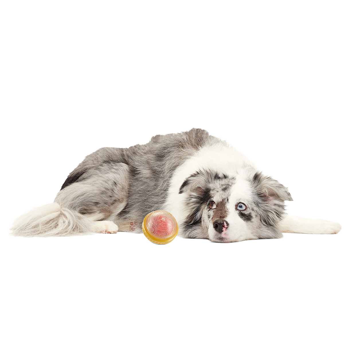 Remembrall™ Super Chewer Durable Fetch Dog Toy - Image 7
