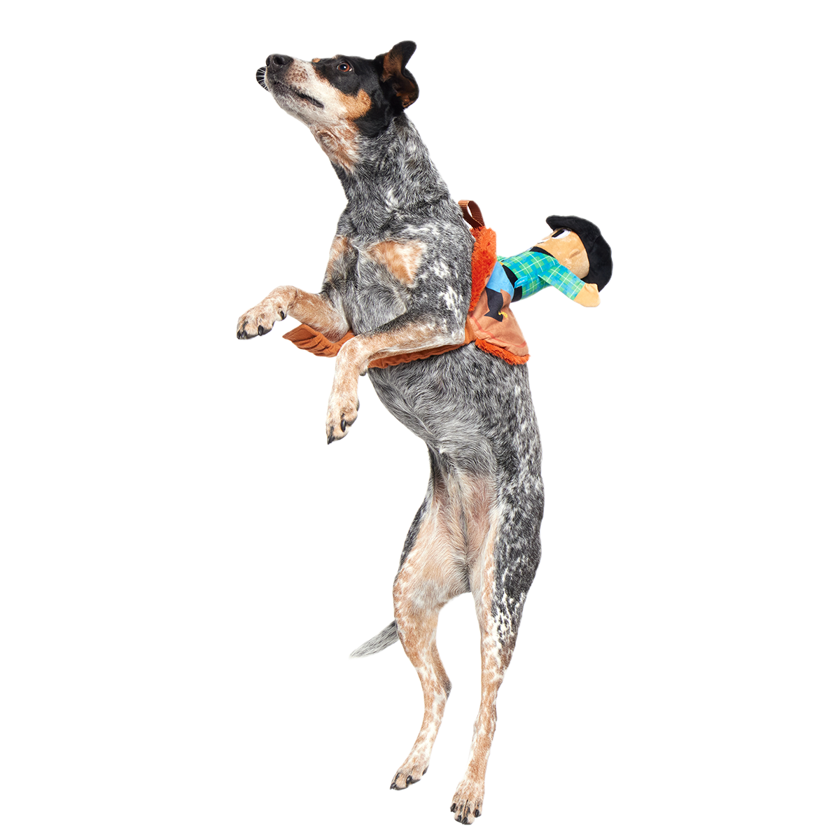 Rodeo Ralph Plush Wearable Tug Dog Toy - Image 4