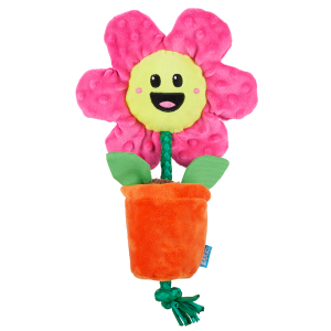 Rose the Daisy Plush Tug Dog Toy