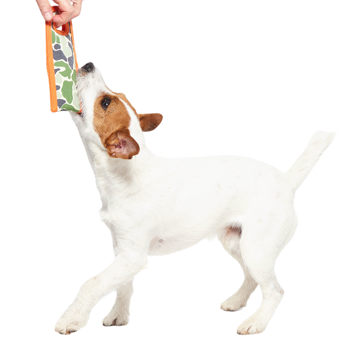 Ruffhouse Camo Tug Super Chewer Durable Dog Toy - Image 5
