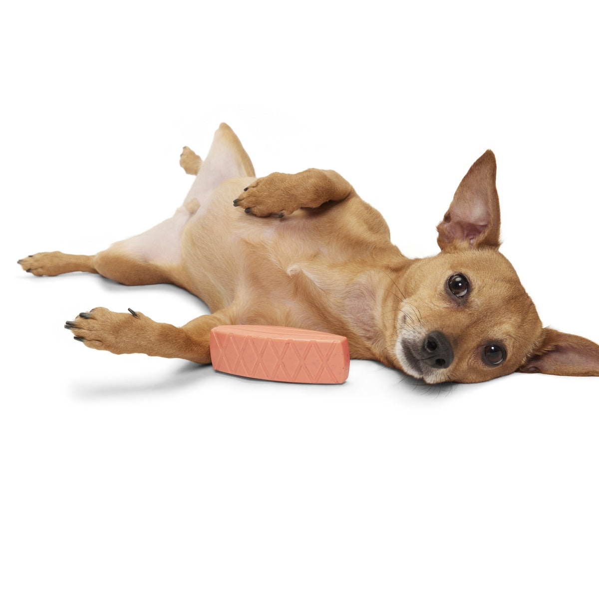 Seared Salmuch Super Chewer Durable Gnaw Dog Toy - Image 2