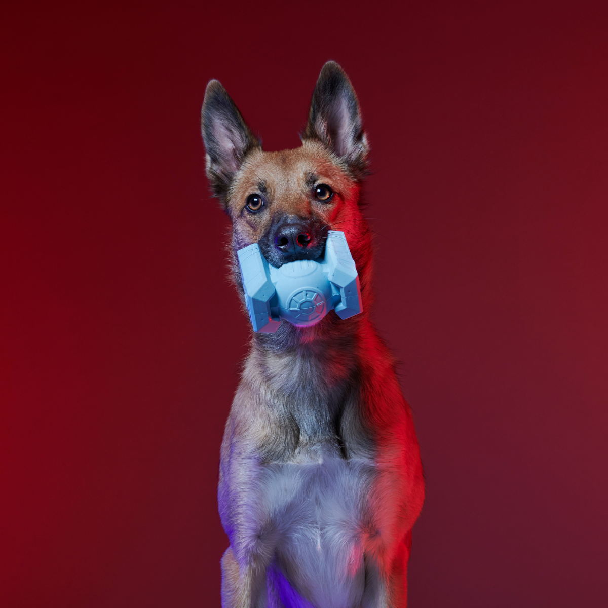 Dark Side Star Wars™ Super Chewer Durable Bundle 2-in-1 + Fetch Dog Toy - Image 4