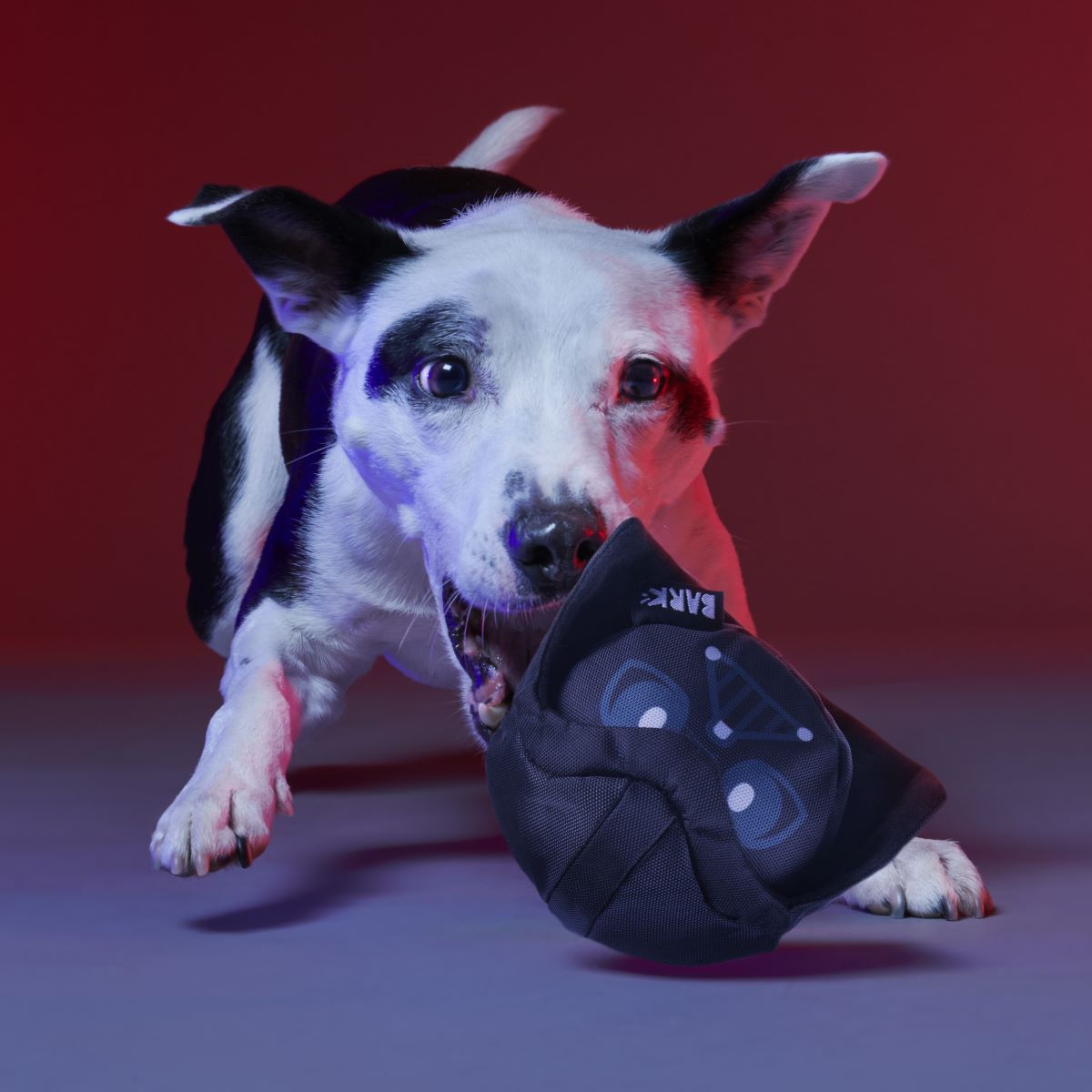 Dark Side Star Wars™ Super Chewer Durable Bundle 2-in-1 + Fetch Dog Toy - Image 6