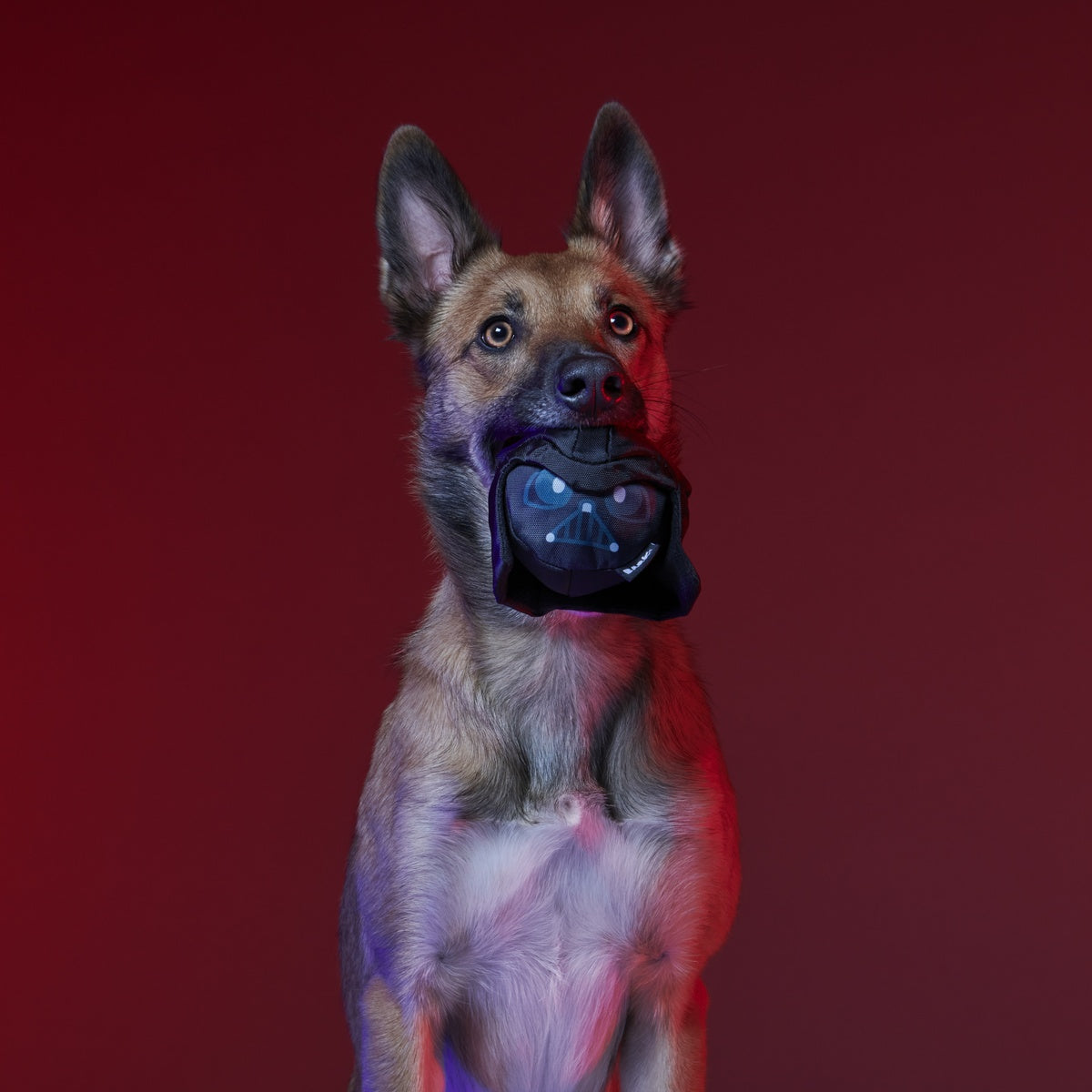 Dark Side Star Wars™ Super Chewer Durable Bundle 2-in-1 + Fetch Dog Toy - Image 7