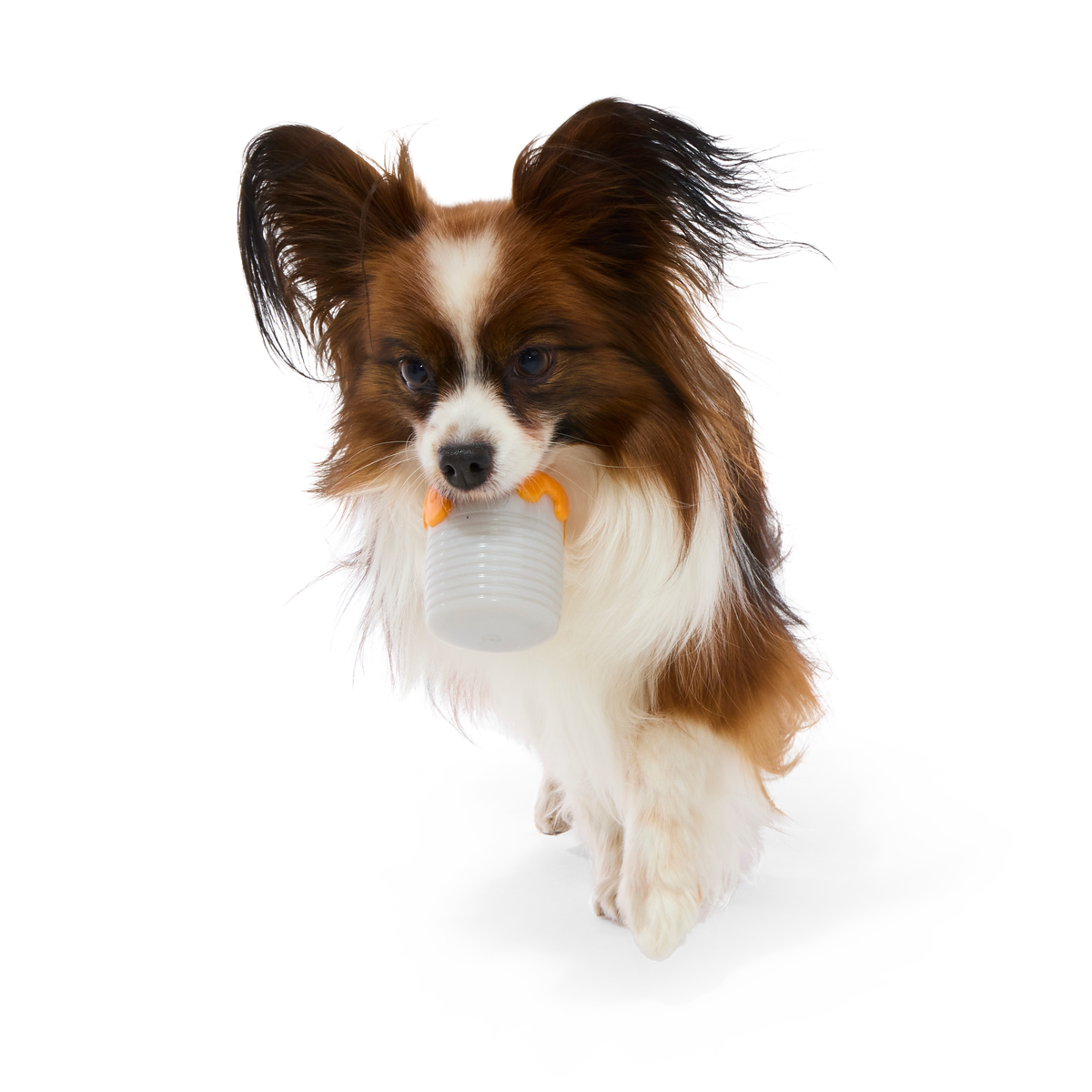 Ultimutt Trash Can Dogchos Super Chewer Durable Enrichment Dog Toy - Image 4