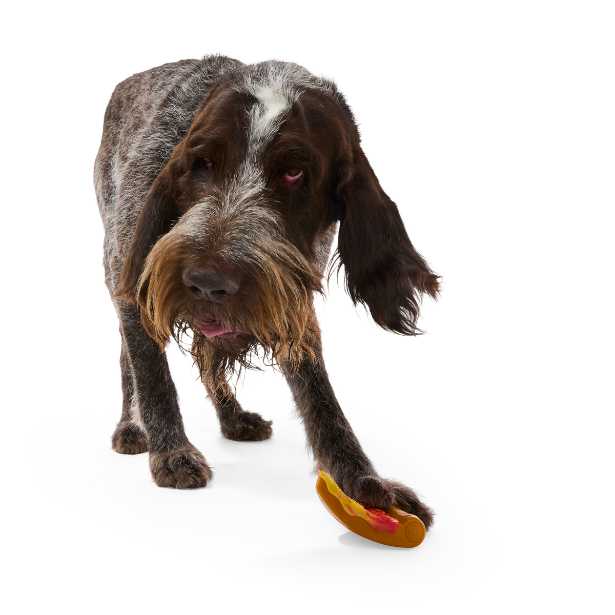 Barkaroni Slice Super Chewer Durable Gnaw Dog Toy - Image 4