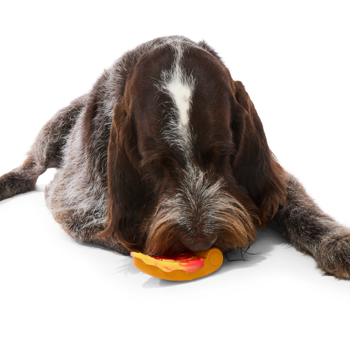 Barkaroni Slice Super Chewer Durable Gnaw Dog Toy - Image 3