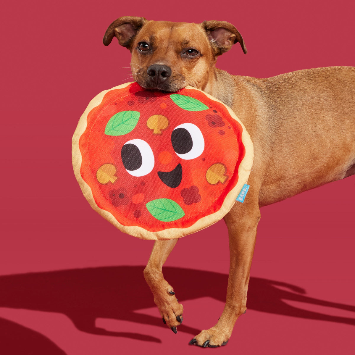 Signore Pizza Face Plush Fetch Dog Toy - Image 2