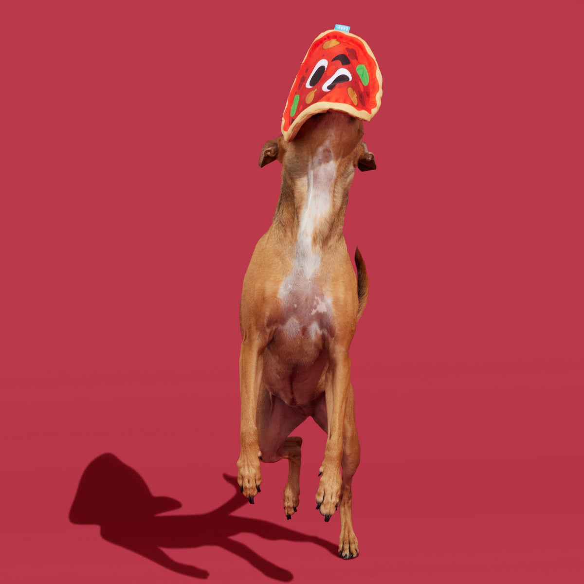 Signore Pizza Face Plush Fetch Dog Toy - Image 4