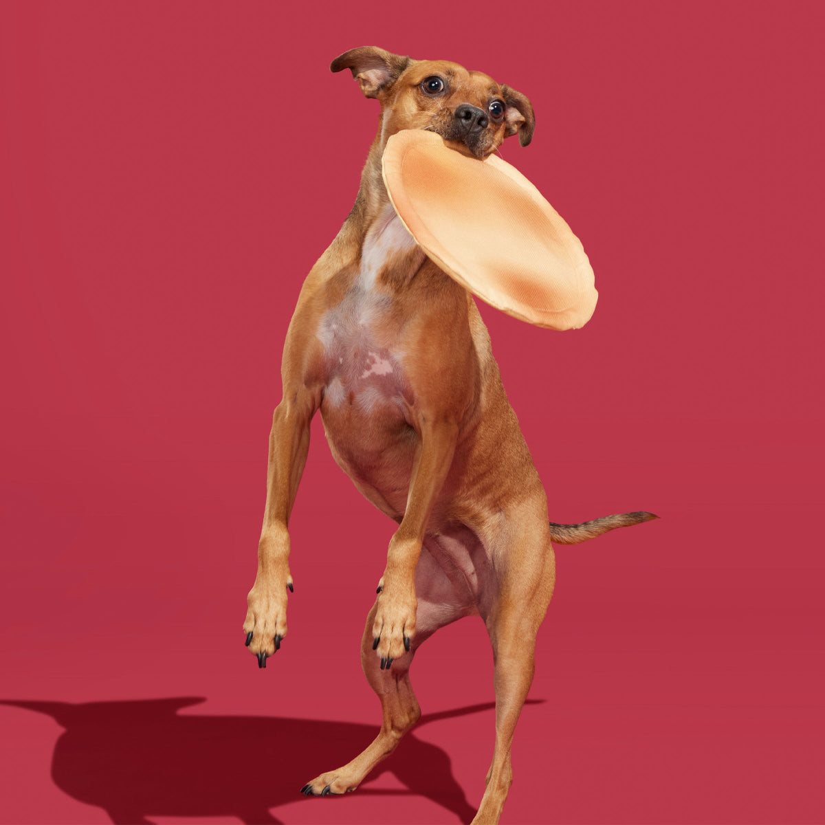 Signore Pizza Face Plush Fetch Dog Toy - Image 3