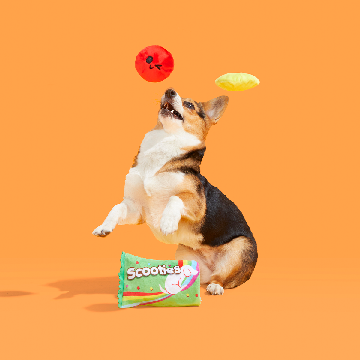 Scooties Candy Plush Multi-Part + Enrichment Dog Toy - Image 6