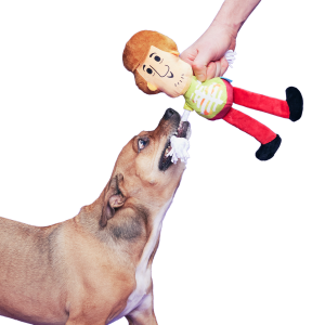 Shaggy™ Skelly Plush Extra-Large + Tug Dog Toy
