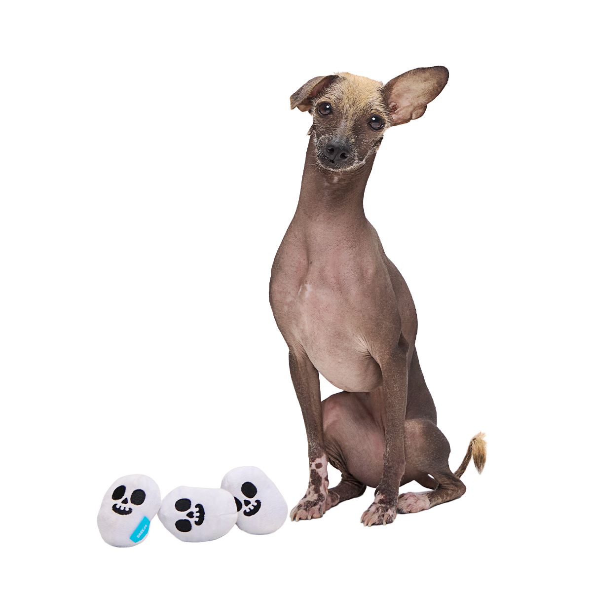 Re-Play Pack: Skelly Beans Plush Multi-Part Dog Toy - Image 4