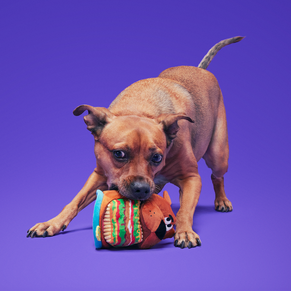 Snackin' Scooby™ Plush Multi-Part + Enrichment Dog Toy - Image 4