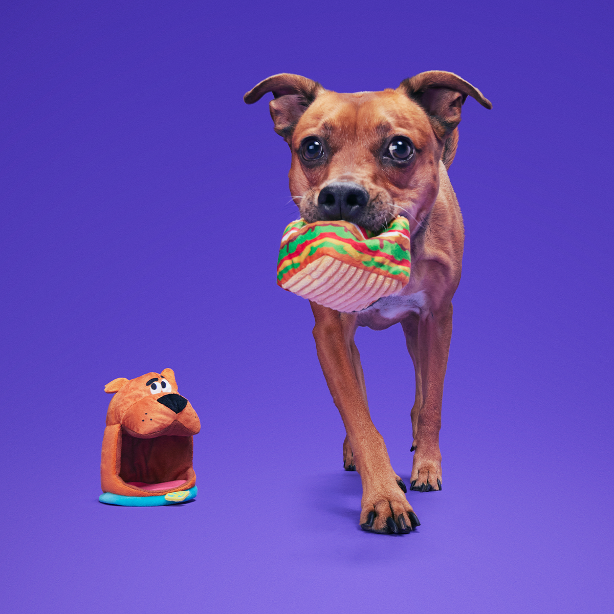 Snackin' Scooby™ Plush Multi-Part + Enrichment Dog Toy - Image 3