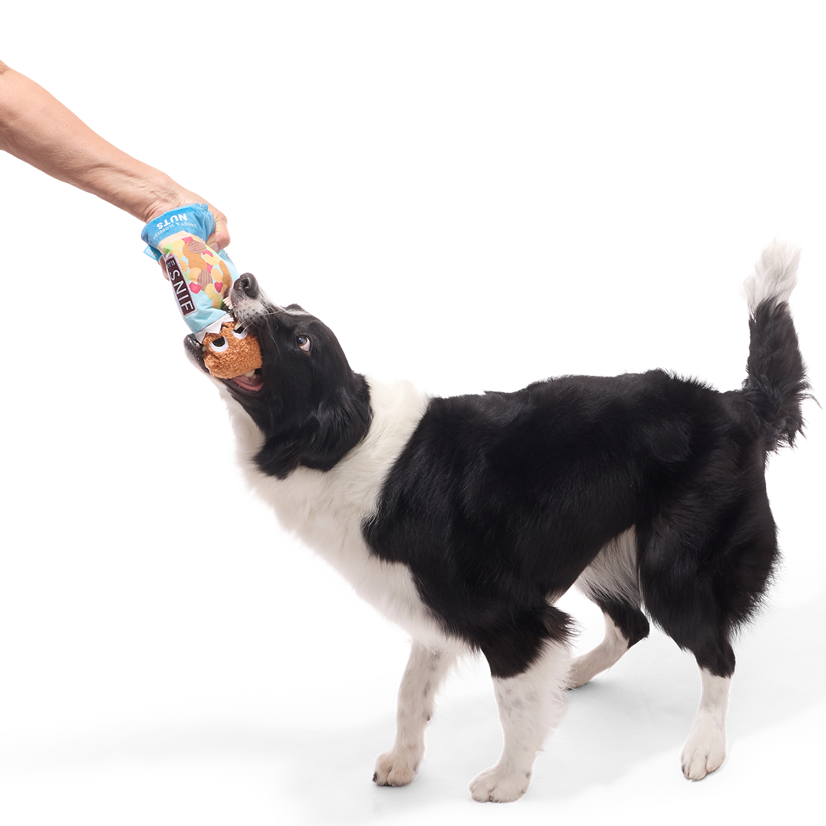 Sniff Bar Plush Tug Dog Toy - Image 2