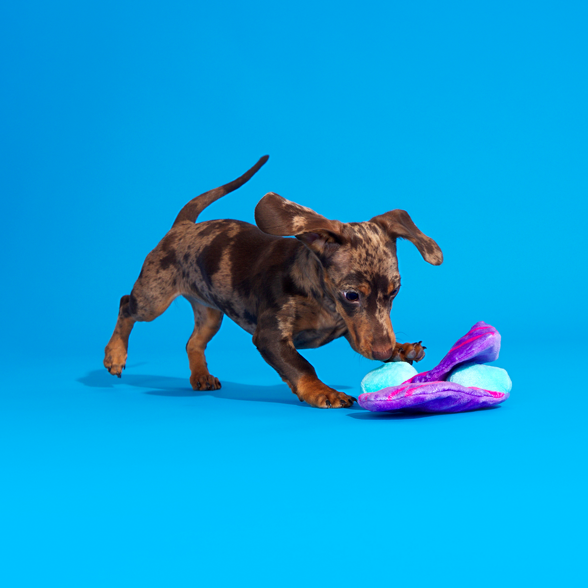 Snork N Bork Plush Multi-Part + Tug Dog Toy - Image 4