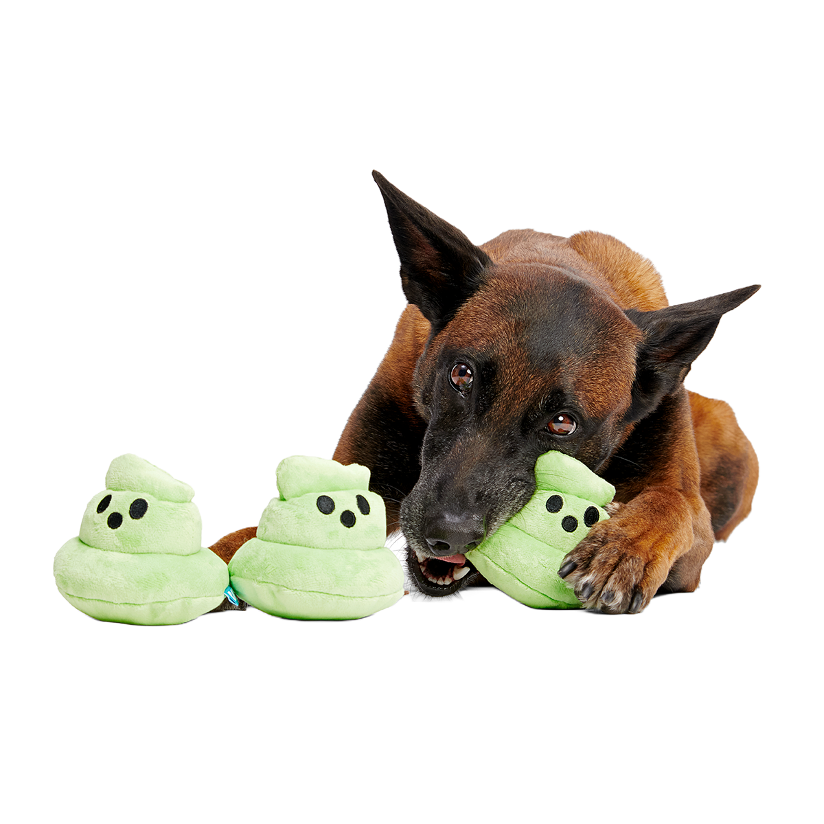 Spoopy Poopies Plush Multi-Part Dog Toy - Image 6
