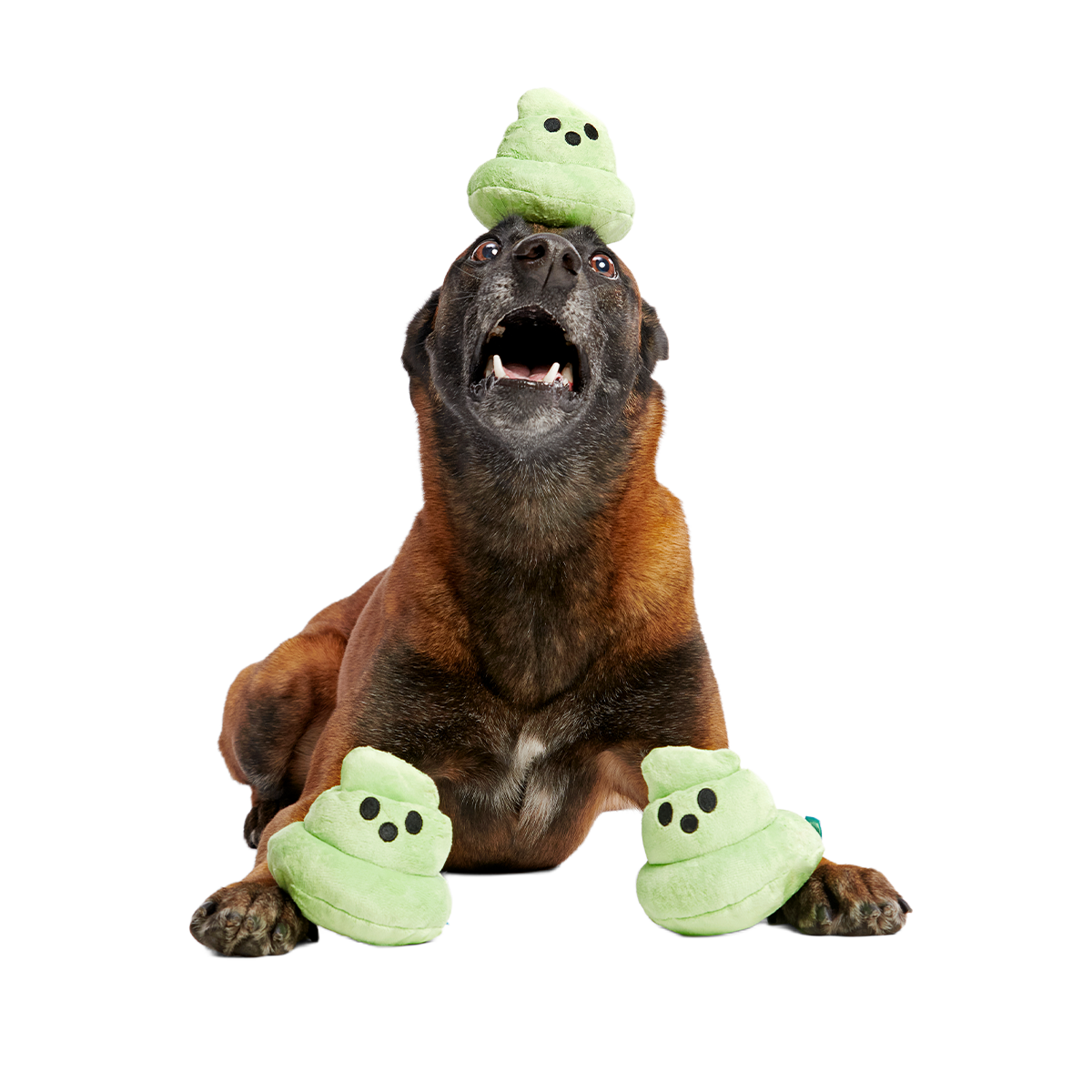 Spoopy Poopies Plush Multi-Part Dog Toy - Image 5