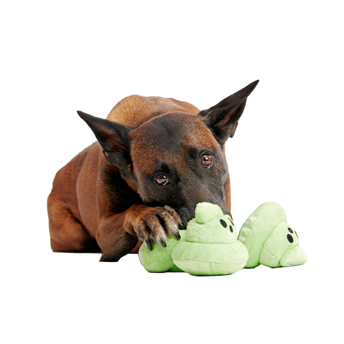 Spoopy Poopies Plush Multi-Part Dog Toy - Image 4