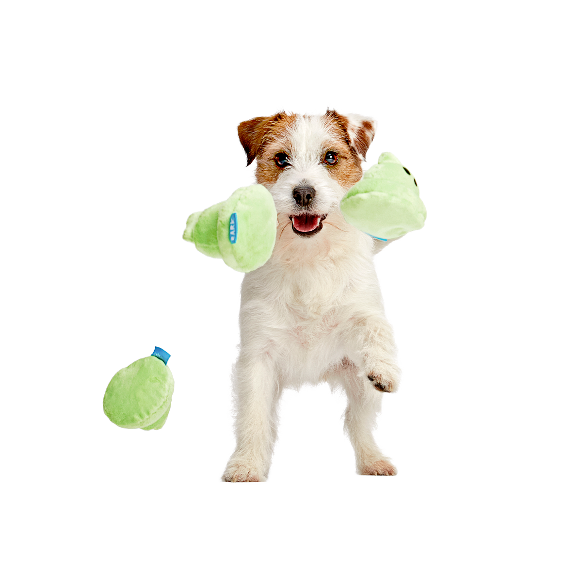 Spoopy Poopies Plush Multi-Part Dog Toy - Image 3