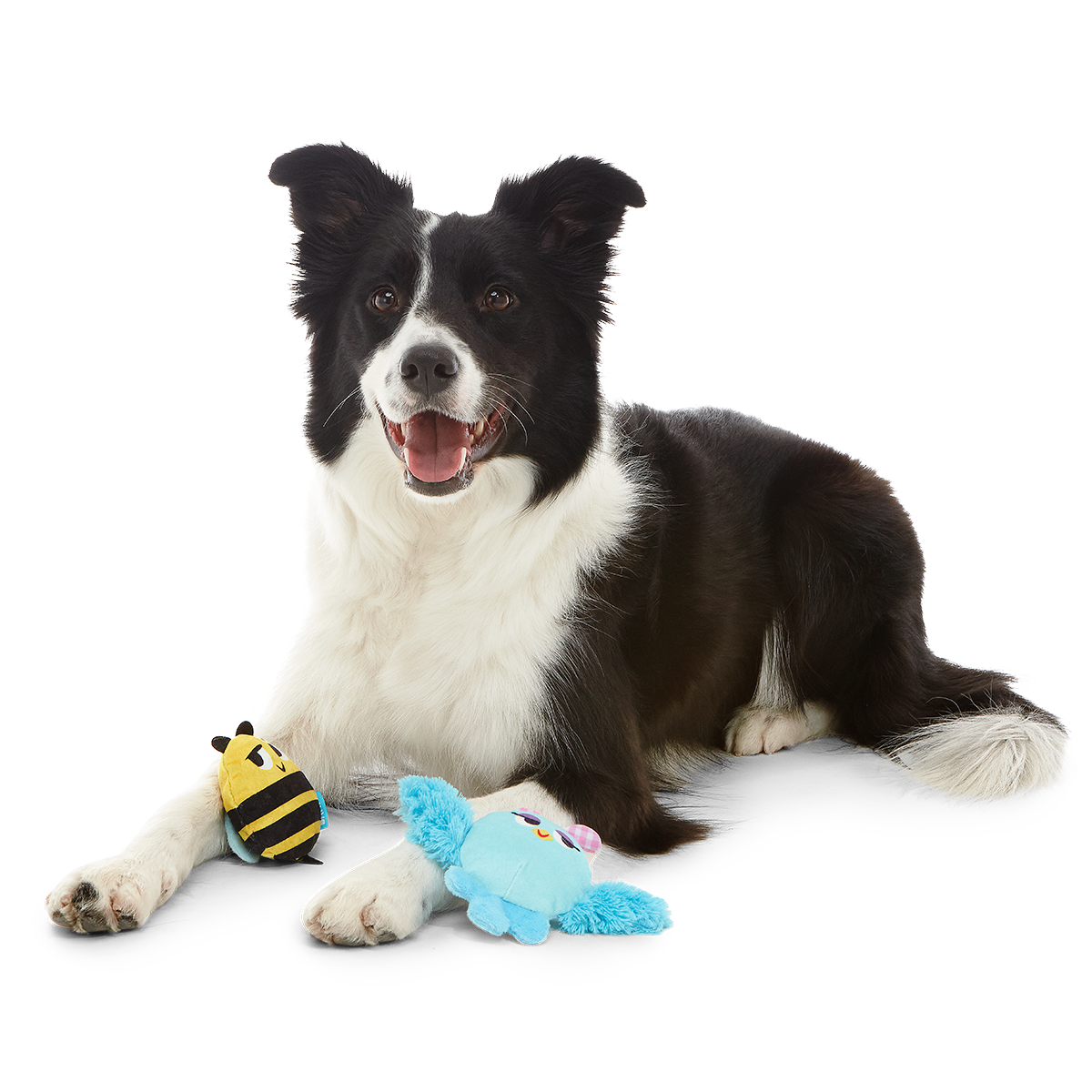 Spring Fling Plush Multi-Part + Fetch Dog Toy - Image 4