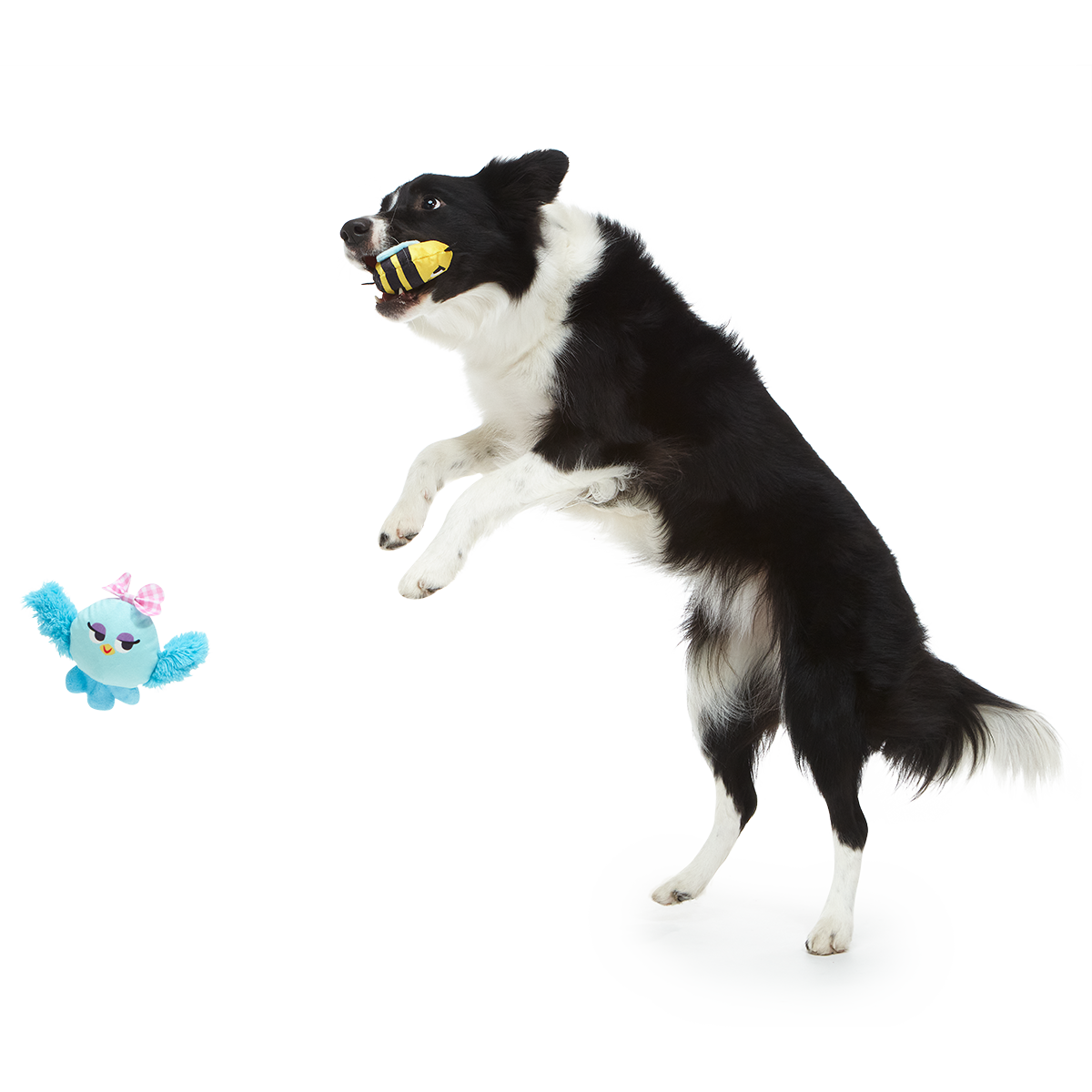 Spring Fling Plush Multi-Part + Fetch Dog Toy - Image 3