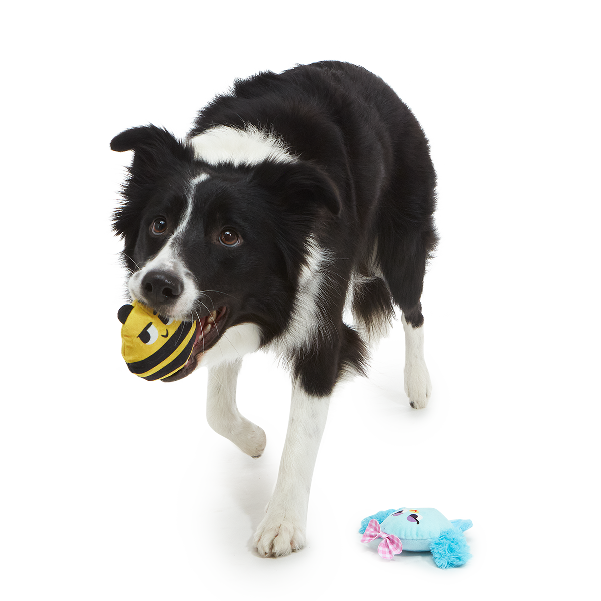 Spring Fling Plush Multi-Part + Fetch Dog Toy - Image 2