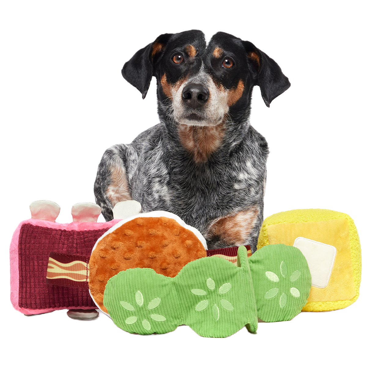 Squeak & Three Plush Multi-Part Dog Toy - Image 3