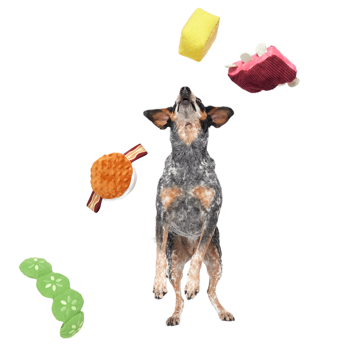 Squeak & Three Plush Multi-Part Dog Toy - Image 5