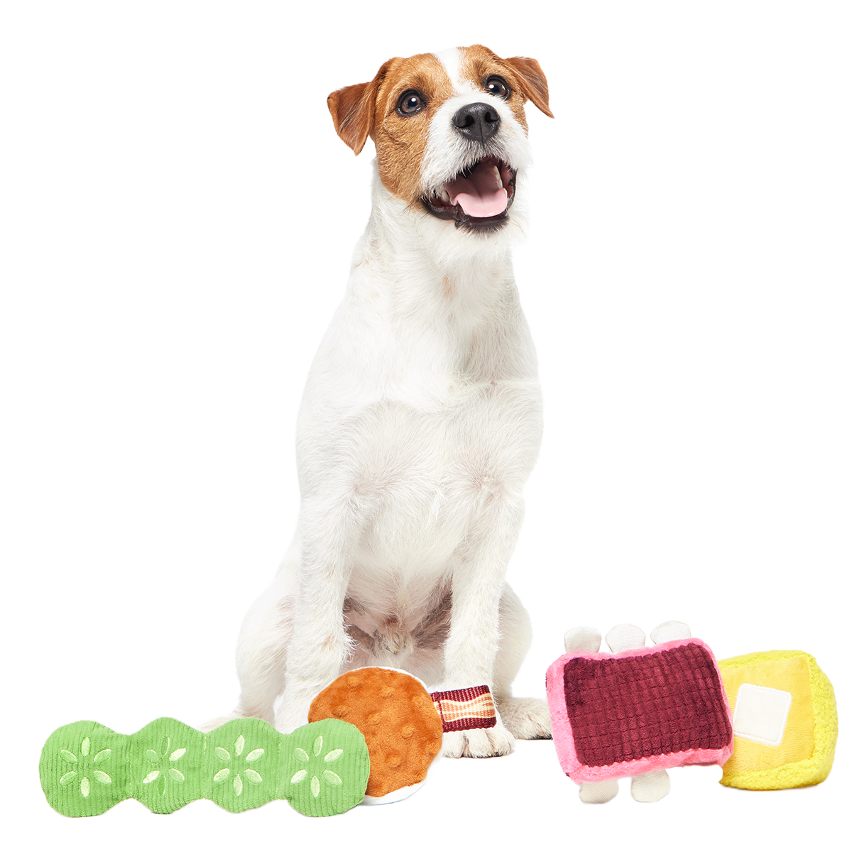 Squeak & Three Plush Multi-Part Dog Toy - Image 2