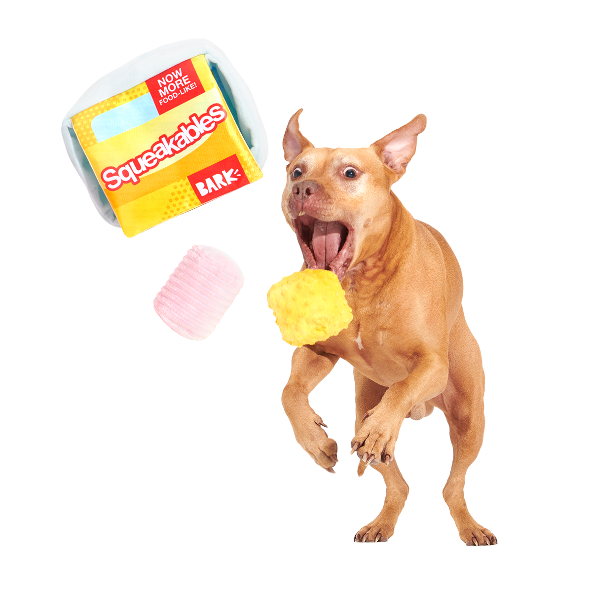 Squeakables Plush Multi-Part + Enrichment Dog Toy - Image 6