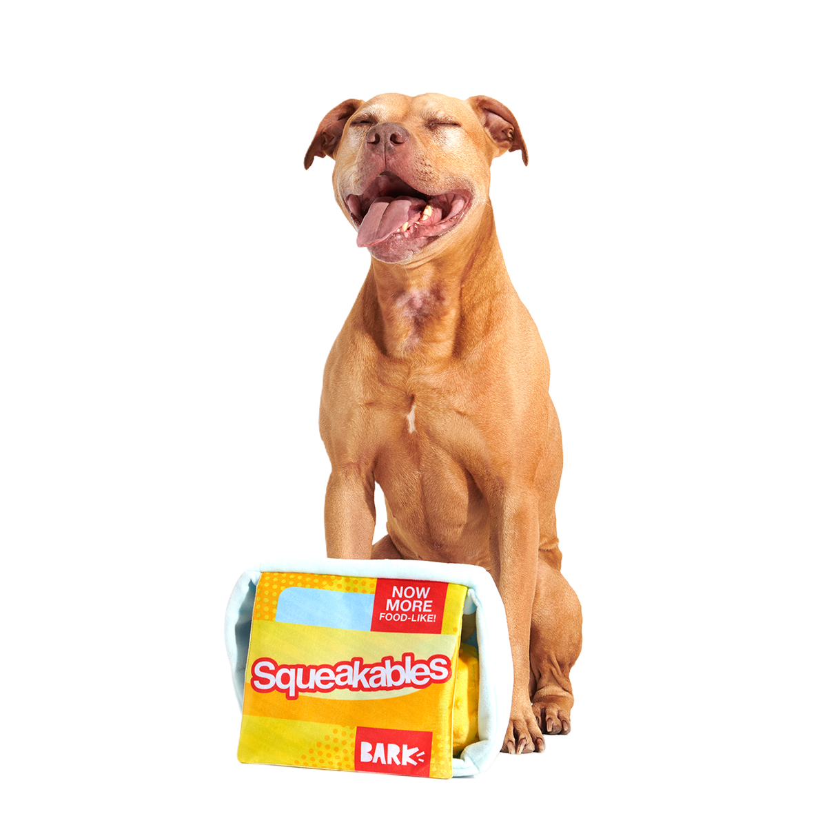 Squeakables Plush Multi-Part + Enrichment Dog Toy - Image 5