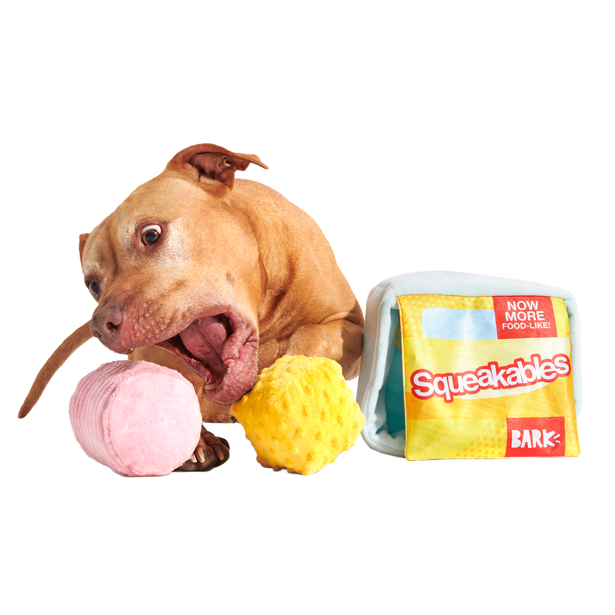 Squeakables Plush Multi-Part + Enrichment Dog Toy - Image 4
