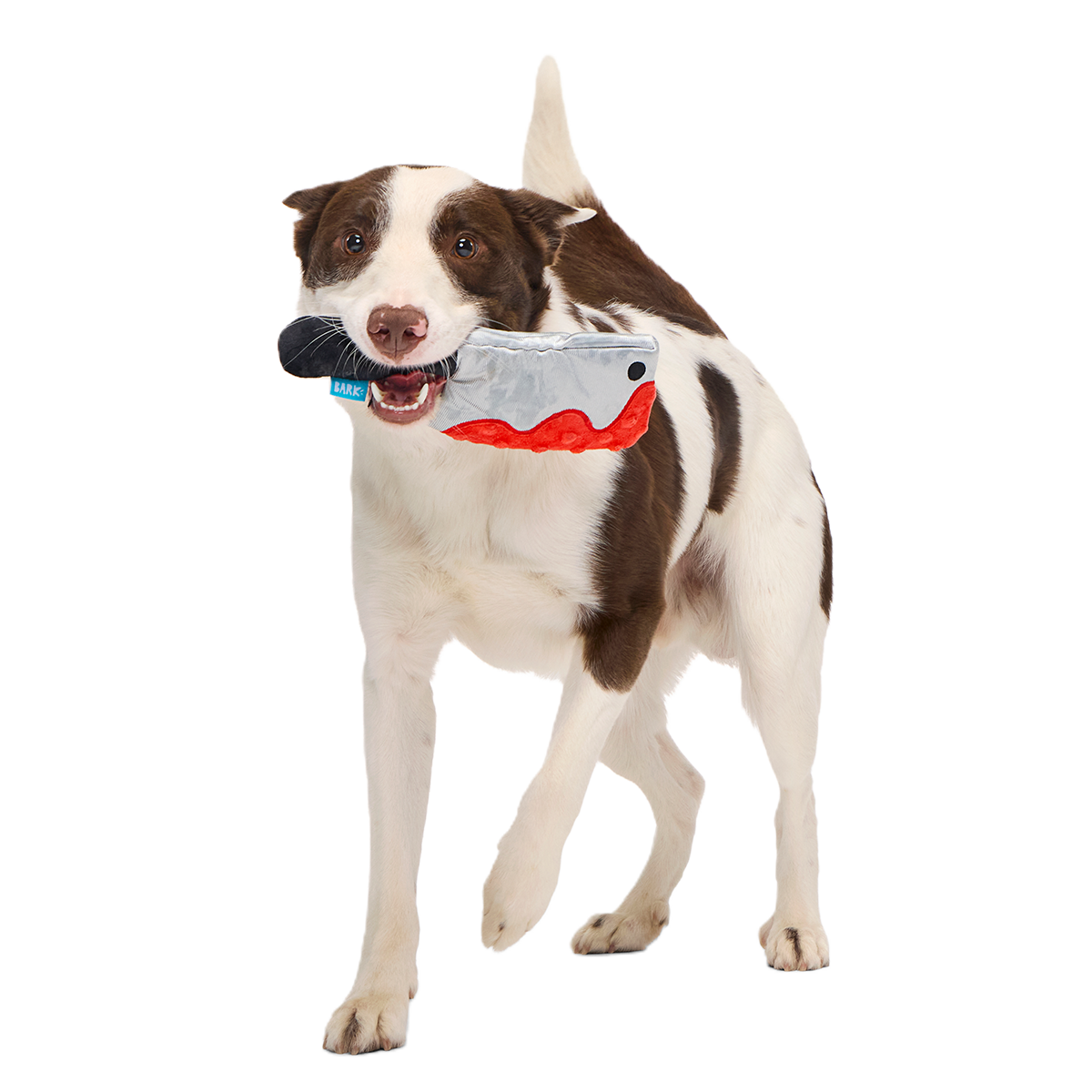 Last Laugh Bundle Plush Dog Toy - Image 3
