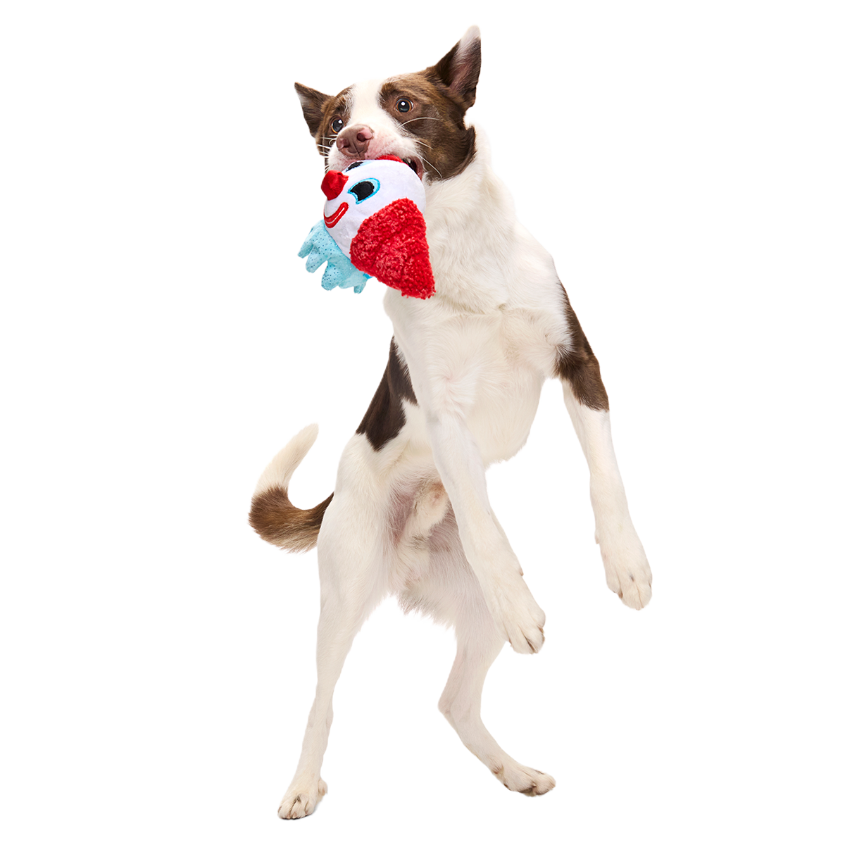Last Laugh Bundle Plush Dog Toy - Image 4