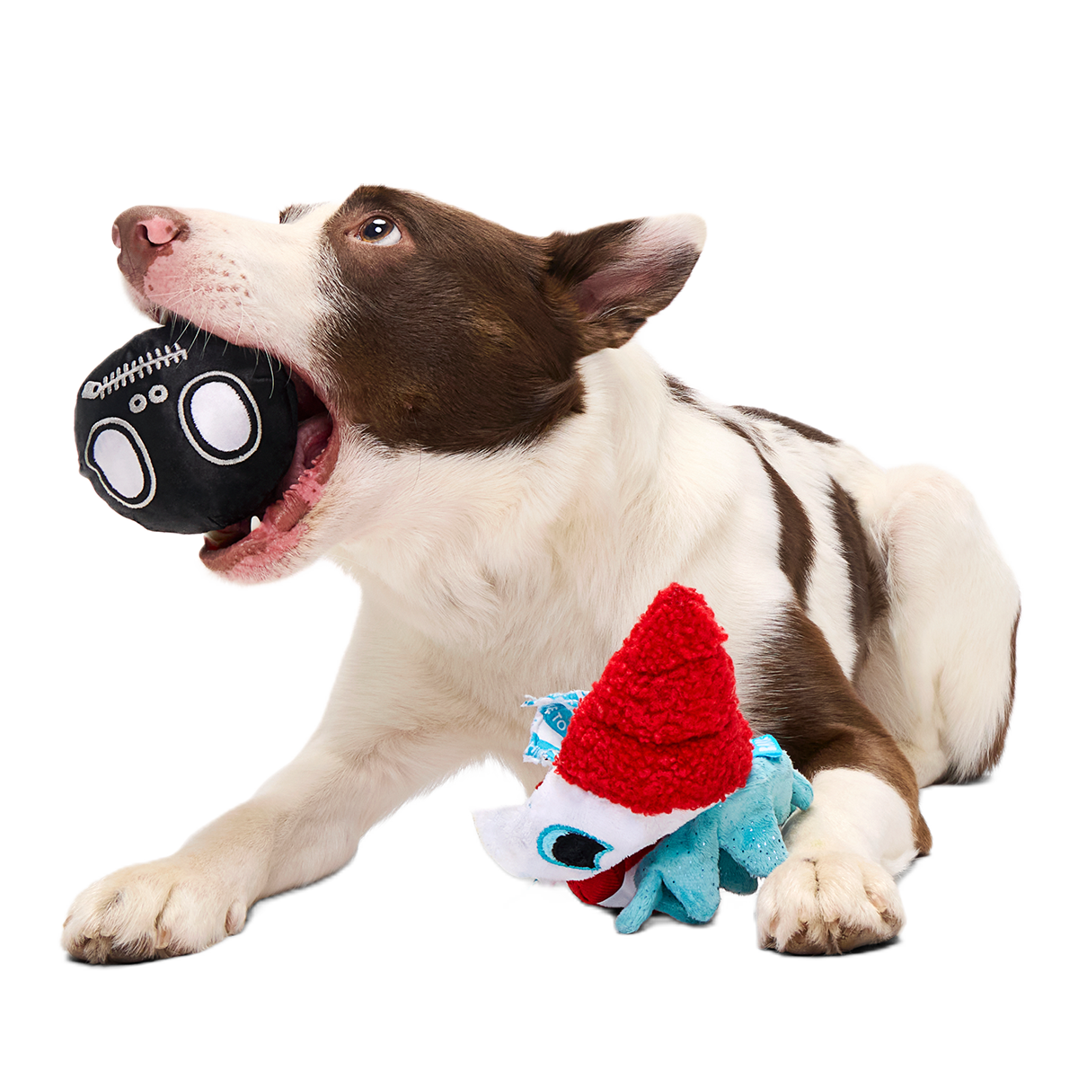 Last Laugh Bundle Plush Dog Toy - Image 5