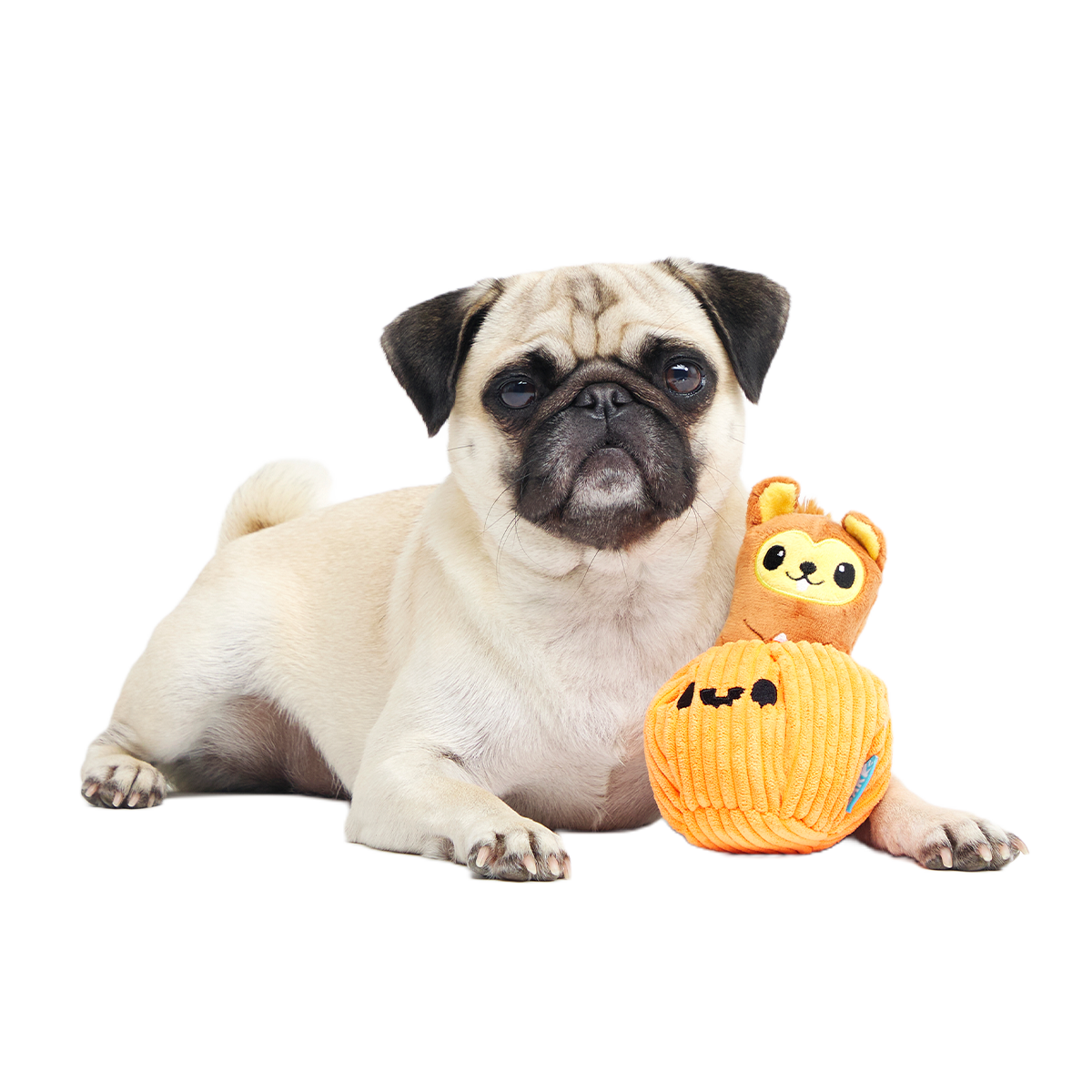 Squirrel-O-Lantern Plush Multi-Part + Enrichment Dog Toy - Image 5