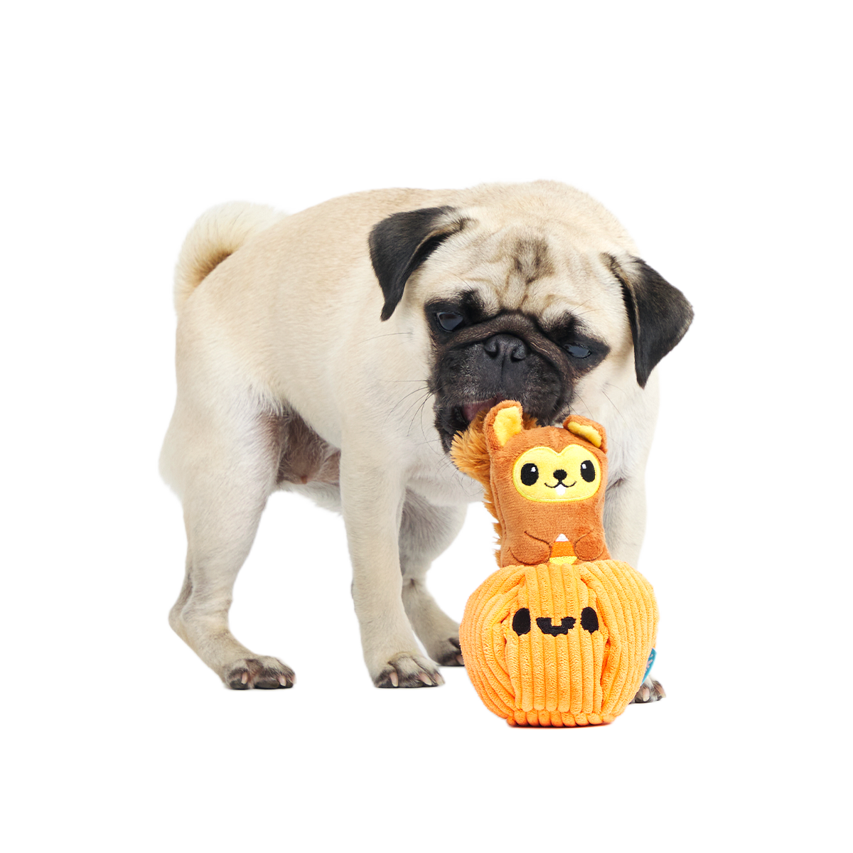 Squirrel-O-Lantern Plush Multi-Part + Enrichment Dog Toy - Image 4