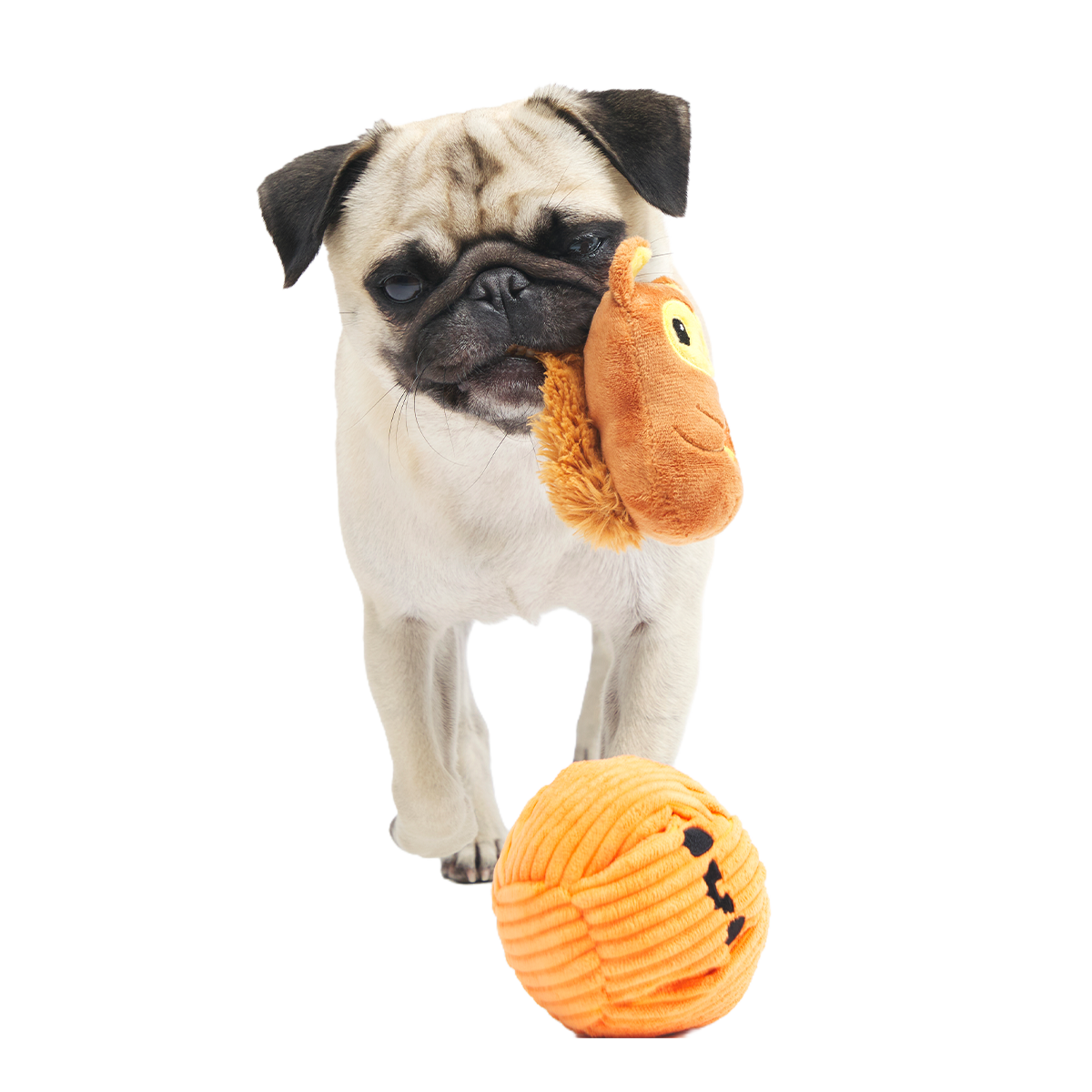 Squirrel-O-Lantern Plush Multi-Part + Enrichment Dog Toy - Image 3
