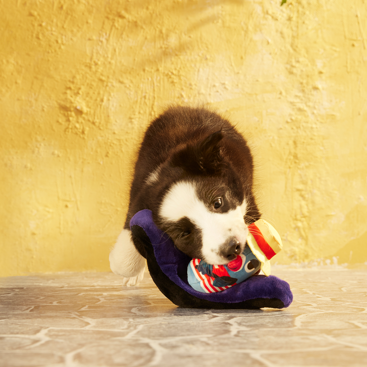 St. Bark's Pigeon Plush Multi-Part Dog Toy - Image 5