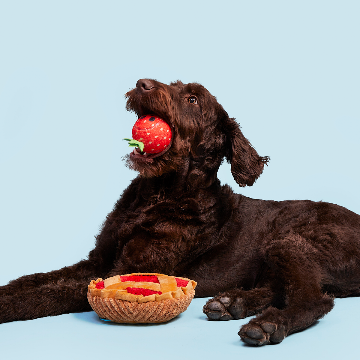 Strawberry Pie Plush Multi-Part + Enrichment Dog Toy - Image 6