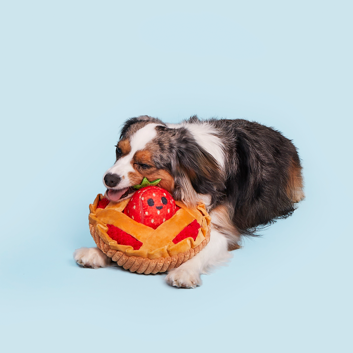 Strawberry Pie Plush Multi-Part + Enrichment Dog Toy - Image 5